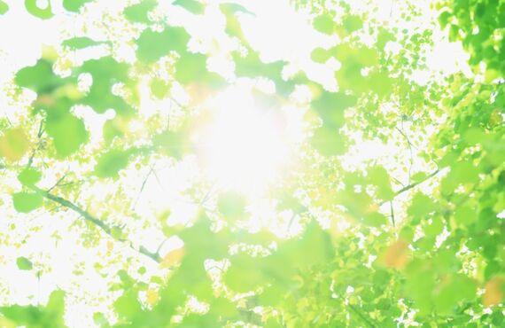 すぐに頼れる地元のアンテナ業者｜住まいドクター